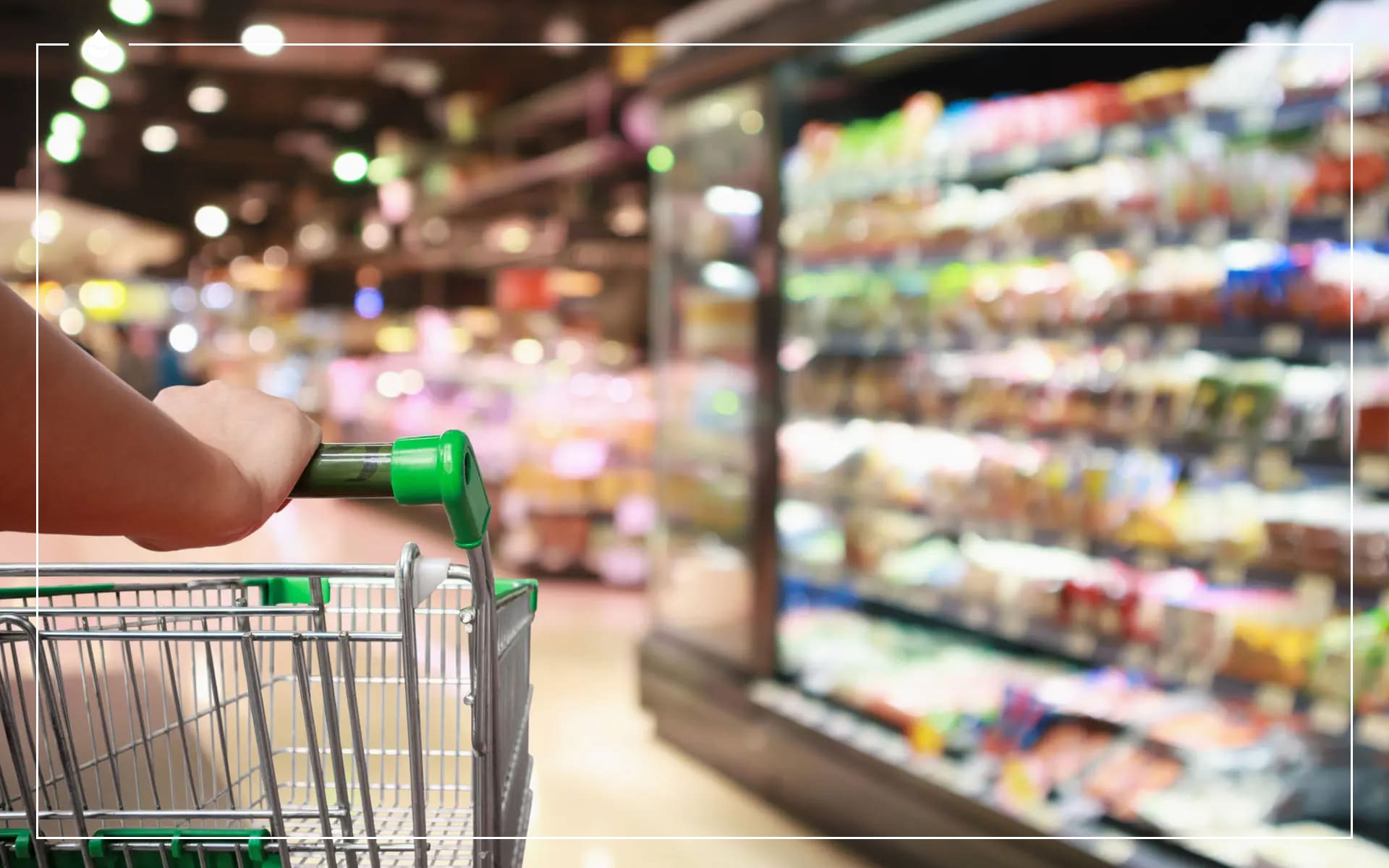 Bac à graisse supermarché